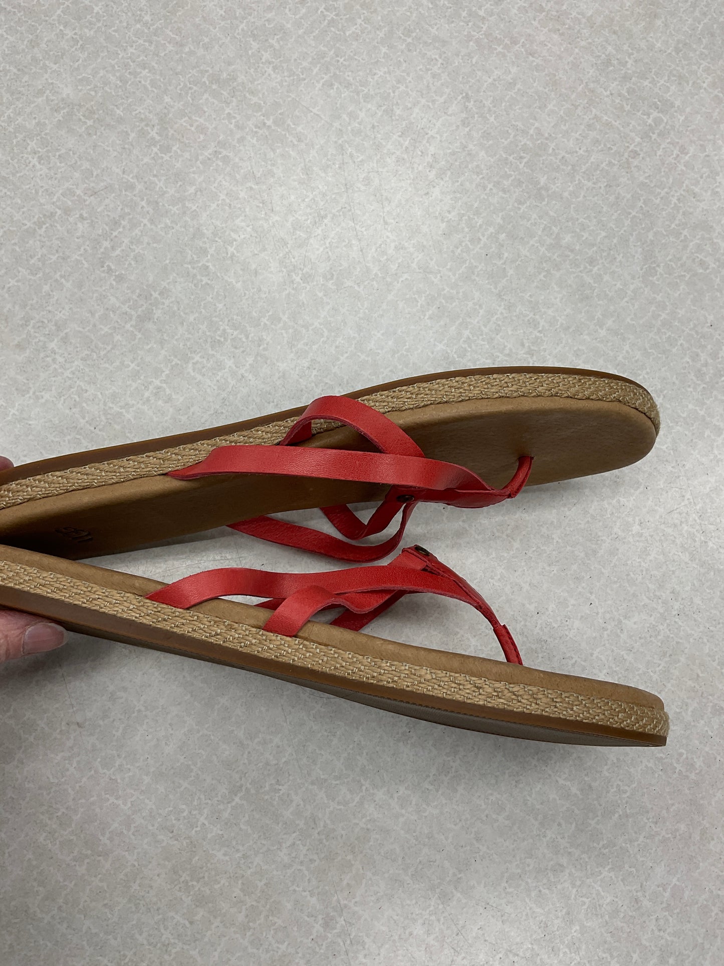 Sandals Flip Flops By Ugg  Size: 10