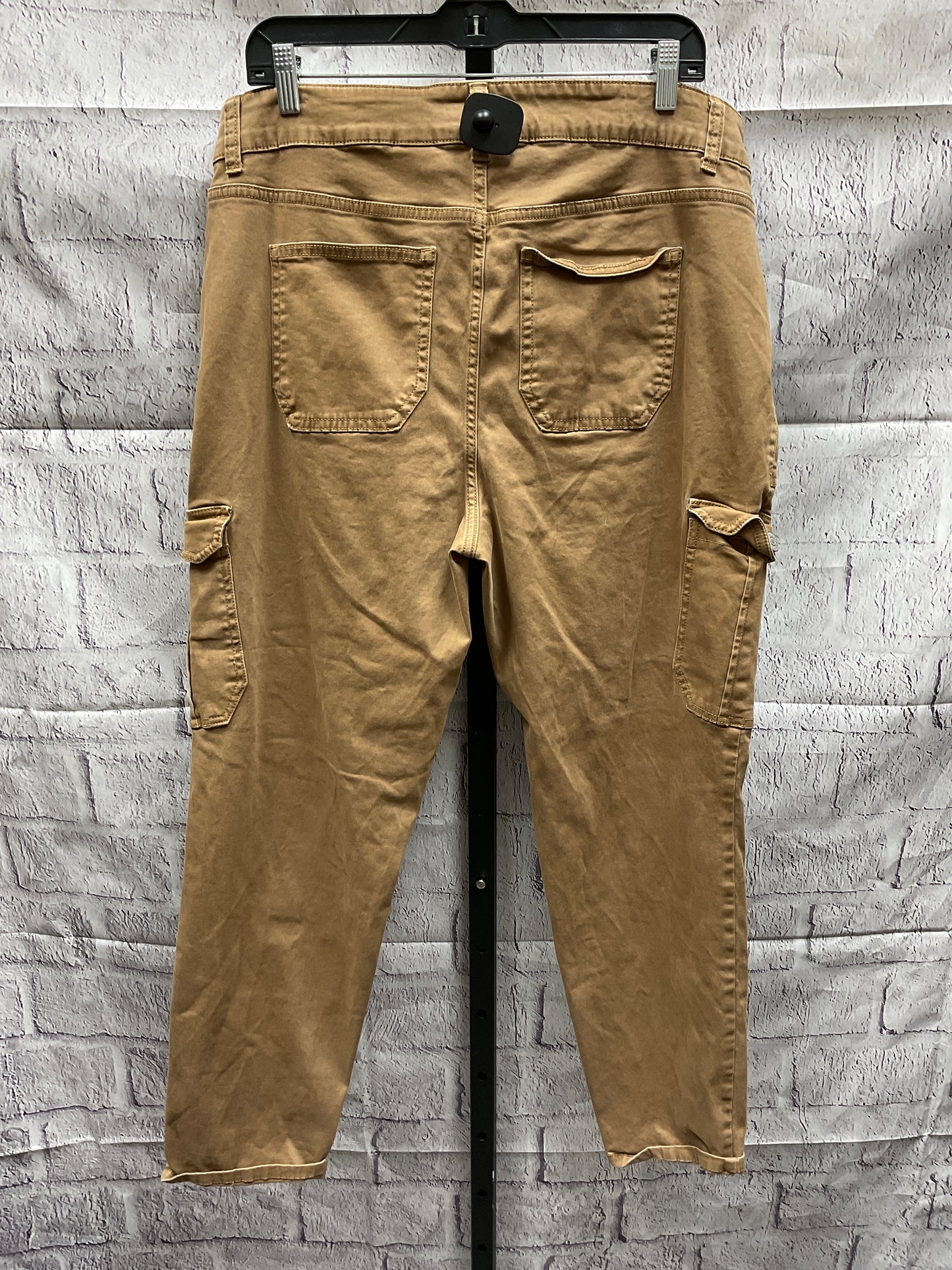 Pants Cargo & Utility By Terra & Sky  Size: 16